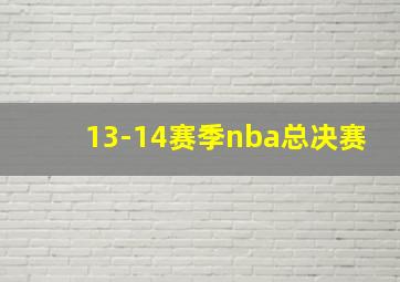 13-14赛季nba总决赛