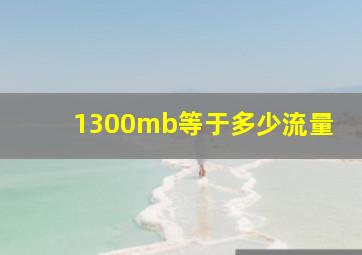 1300mb等于多少流量