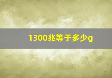 1300兆等于多少g