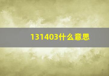 131403什么意思