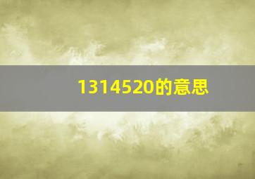 1314520的意思