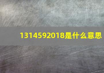 1314592018是什么意思