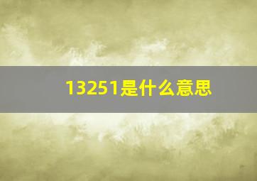 13251是什么意思