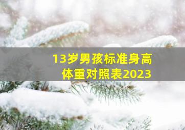 13岁男孩标准身高体重对照表2023