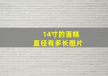 14寸的蛋糕直径有多长图片