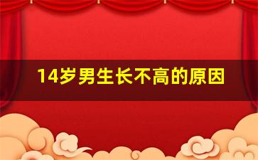 14岁男生长不高的原因