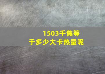 1503千焦等于多少大卡热量呢