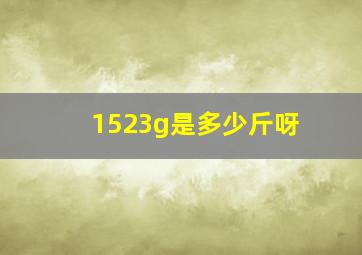 1523g是多少斤呀