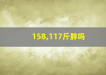 158,117斤胖吗