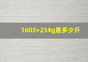 1603+234g是多少斤