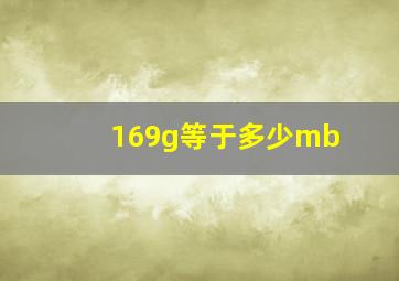 169g等于多少mb