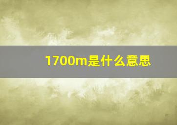 1700m是什么意思