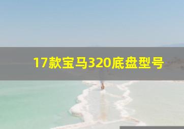 17款宝马320底盘型号