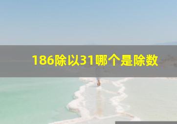 186除以31哪个是除数