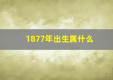 1877年出生属什么