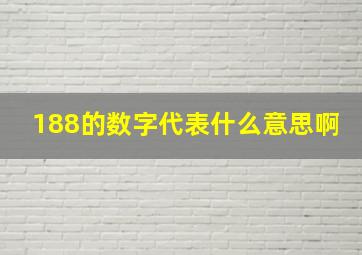 188的数字代表什么意思啊