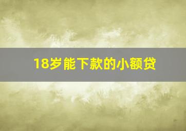 18岁能下款的小额贷