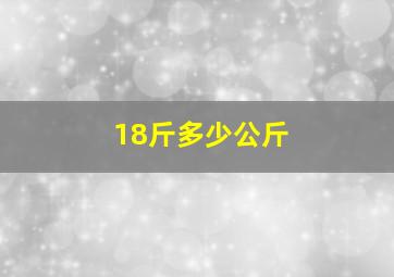 18斤多少公斤