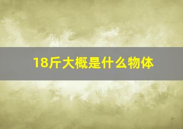 18斤大概是什么物体