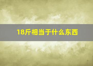 18斤相当于什么东西