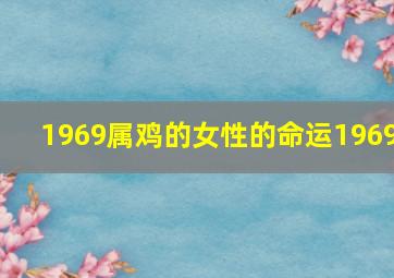 1969属鸡的女性的命运1969