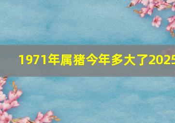 1971年属猪今年多大了2025