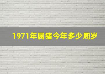 1971年属猪今年多少周岁