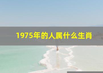 1975年的人属什么生肖