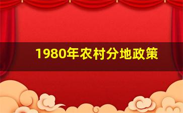 1980年农村分地政策