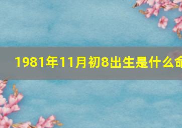 1981年11月初8出生是什么命