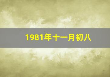 1981年十一月初八