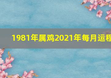 1981年属鸡2021年每月运程