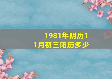 1981年阴历11月初三阳历多少