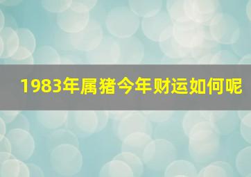 1983年属猪今年财运如何呢