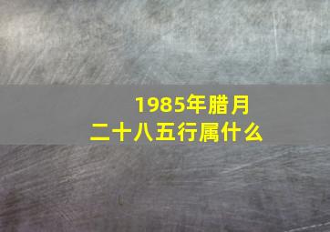 1985年腊月二十八五行属什么