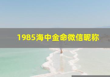 1985海中金命微信昵称