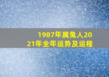 1987年属兔人2021年全年运势及运程