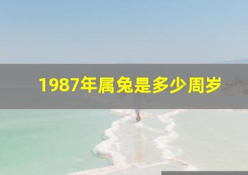 1987年属兔是多少周岁