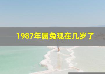 1987年属兔现在几岁了