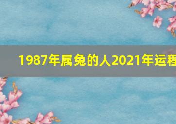 1987年属兔的人2021年运程