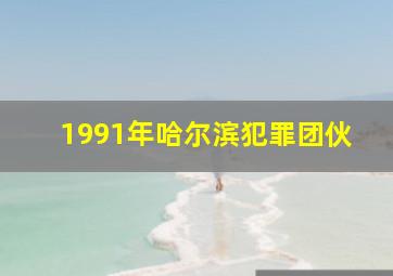 1991年哈尔滨犯罪团伙