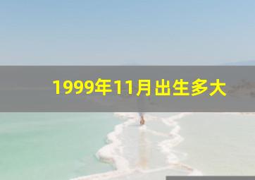 1999年11月出生多大