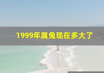 1999年属兔现在多大了