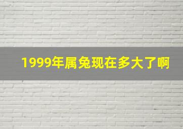 1999年属兔现在多大了啊