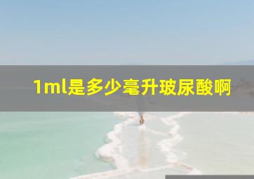 1ml是多少毫升玻尿酸啊