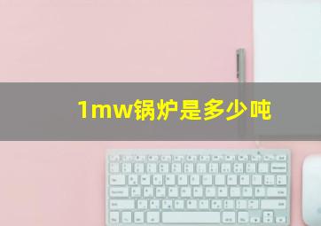 1mw锅炉是多少吨