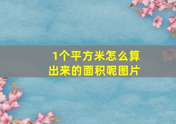 1个平方米怎么算出来的面积呢图片