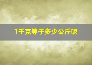 1千克等于多少公斤呢