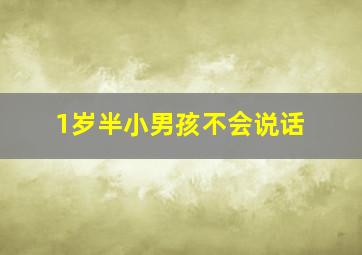 1岁半小男孩不会说话