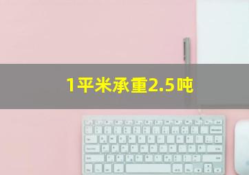 1平米承重2.5吨